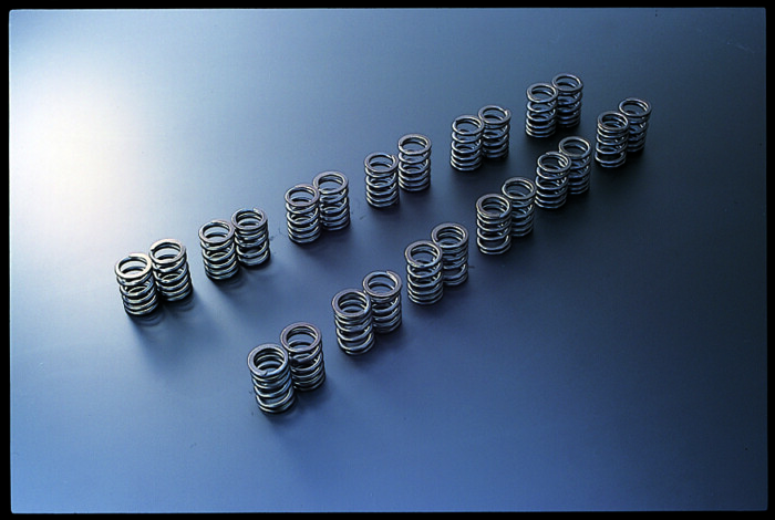 Tomei Valve Spring RB20DE(T)/VG30DE(TT)